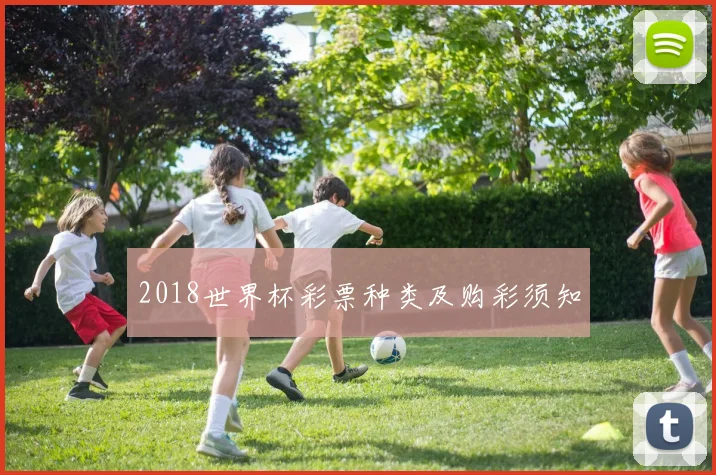 2018世界杯彩票种类及购彩须知