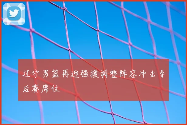 辽宁男篮再迎强援调整阵容冲击季后赛席位