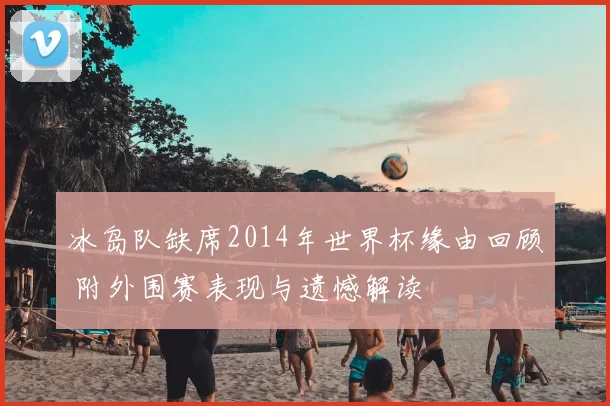 冰岛队缺席2014年世界杯缘由回顾 附外围赛表现与遗憾解读