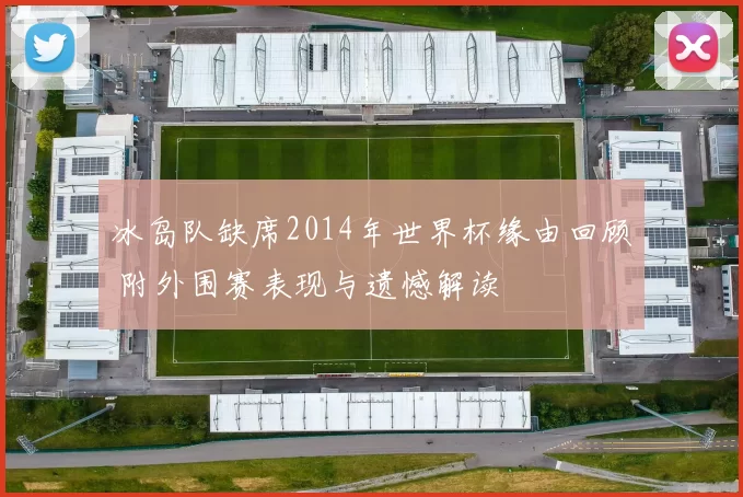 冰岛队缺席2014年世界杯缘由回顾 附外围赛表现与遗憾解读