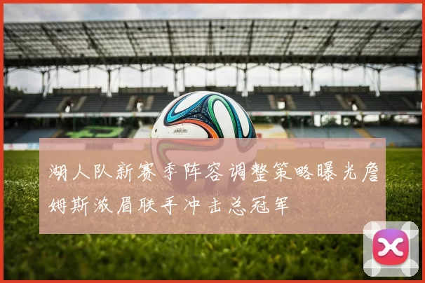 湖人队新赛季阵容调整策略曝光詹姆斯浓眉联手冲击总冠军