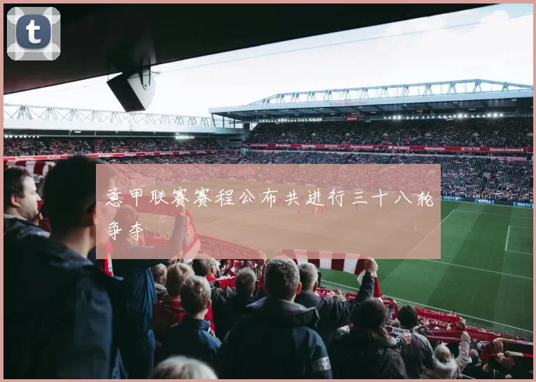意甲联赛赛程公布共进行三十八轮争夺